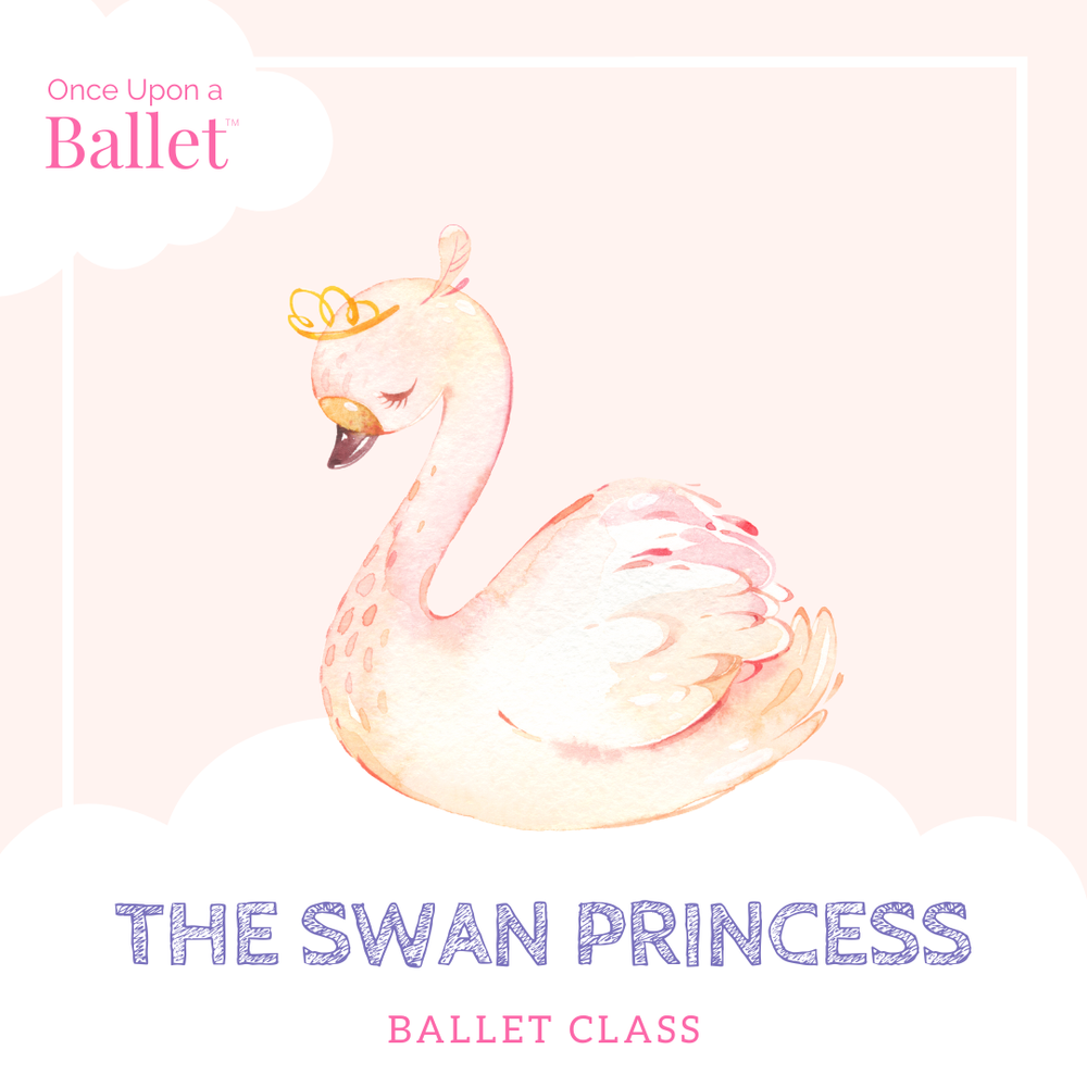 16 Swan Princess ballet class