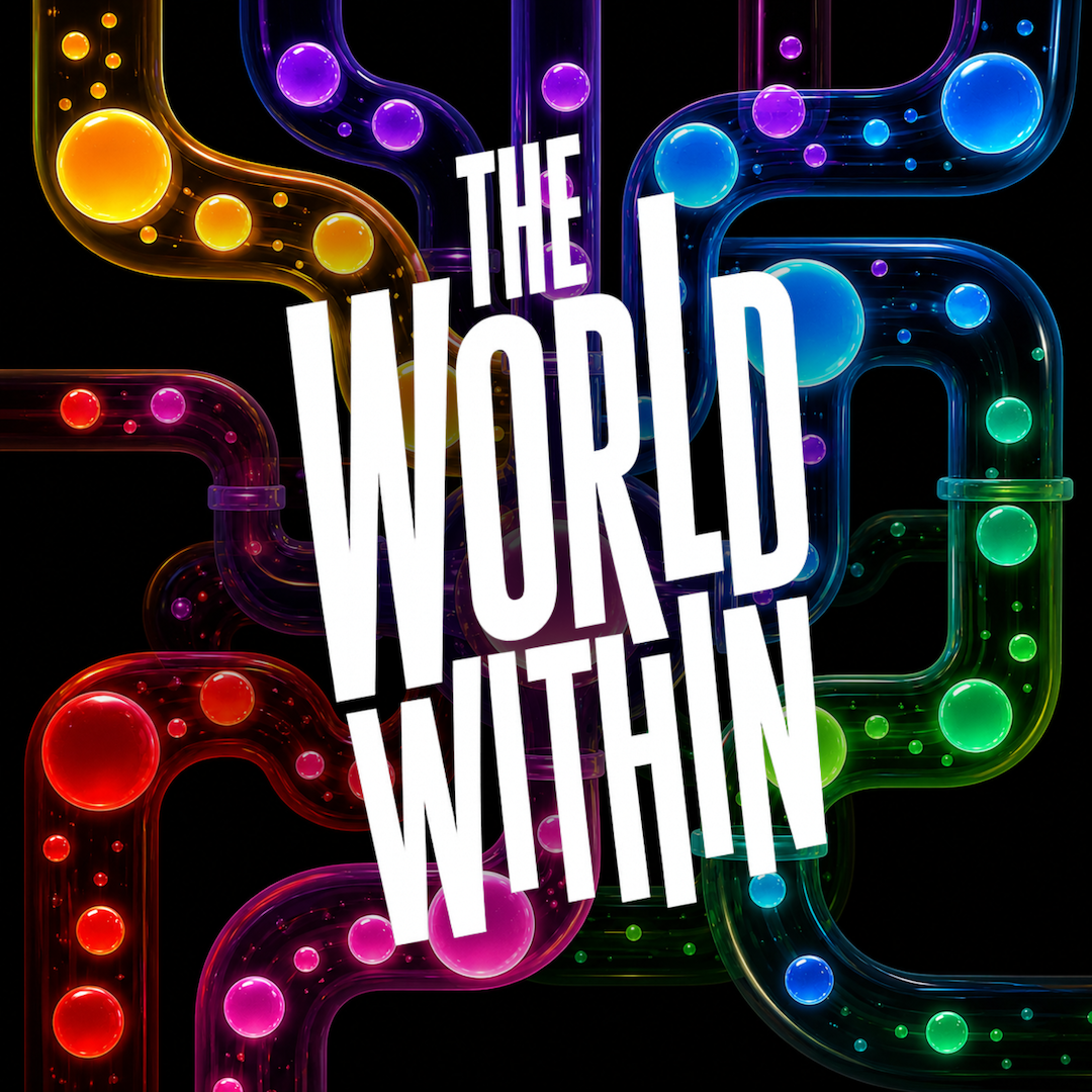 The World Within Square Logo Design-2